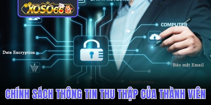 Chính sách thông tin thu thập của người chơi